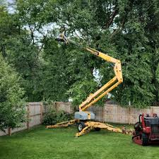 Tree and Shrub Care in Inman, KS